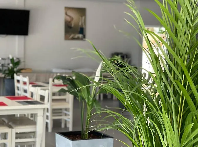 Mucobega 酒店 Sarandë